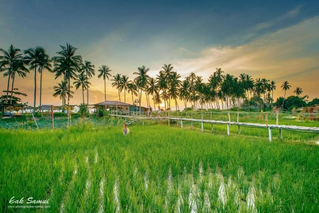I - Talay Taling Ngam Samui - เขา ป่า นา เล ตลิ่งงาม สมุย Hotel Luaran gambar
