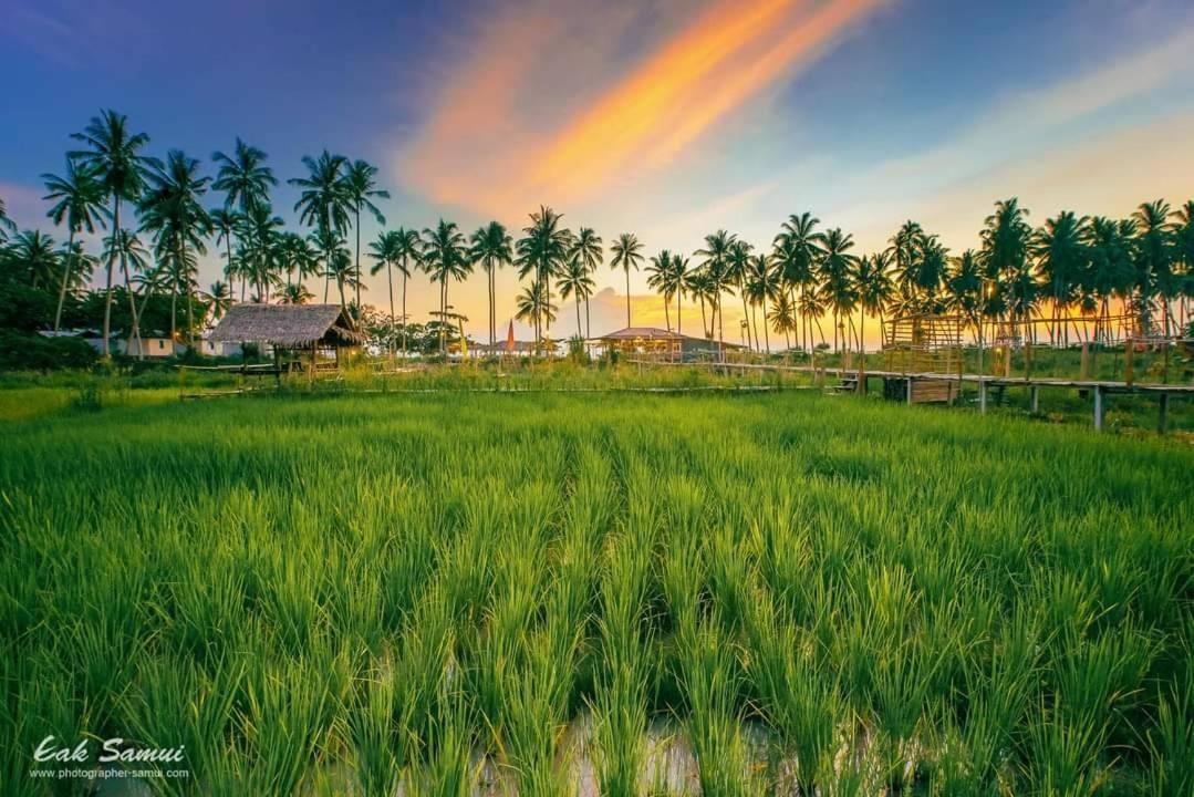 I - Talay Taling Ngam Samui - เขา ป่า นา เล ตลิ่งงาม สมุย Hotel Luaran gambar